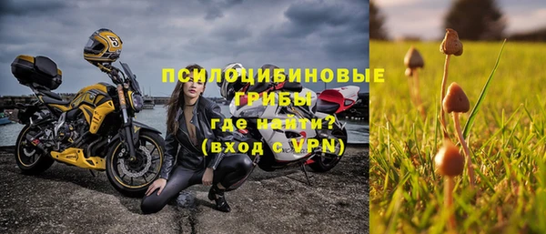 СК Верхний Тагил