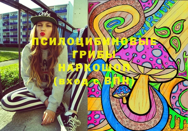 СК Верхний Тагил